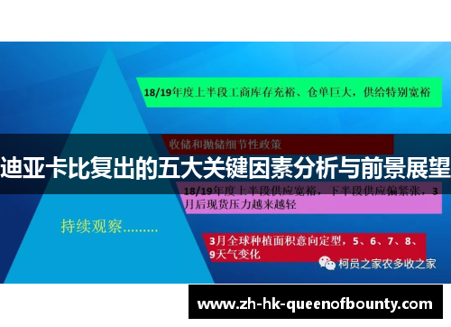 迪亚卡比复出的五大关键因素分析与前景展望