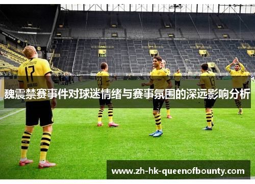 魏震禁赛事件对球迷情绪与赛事氛围的深远影响分析